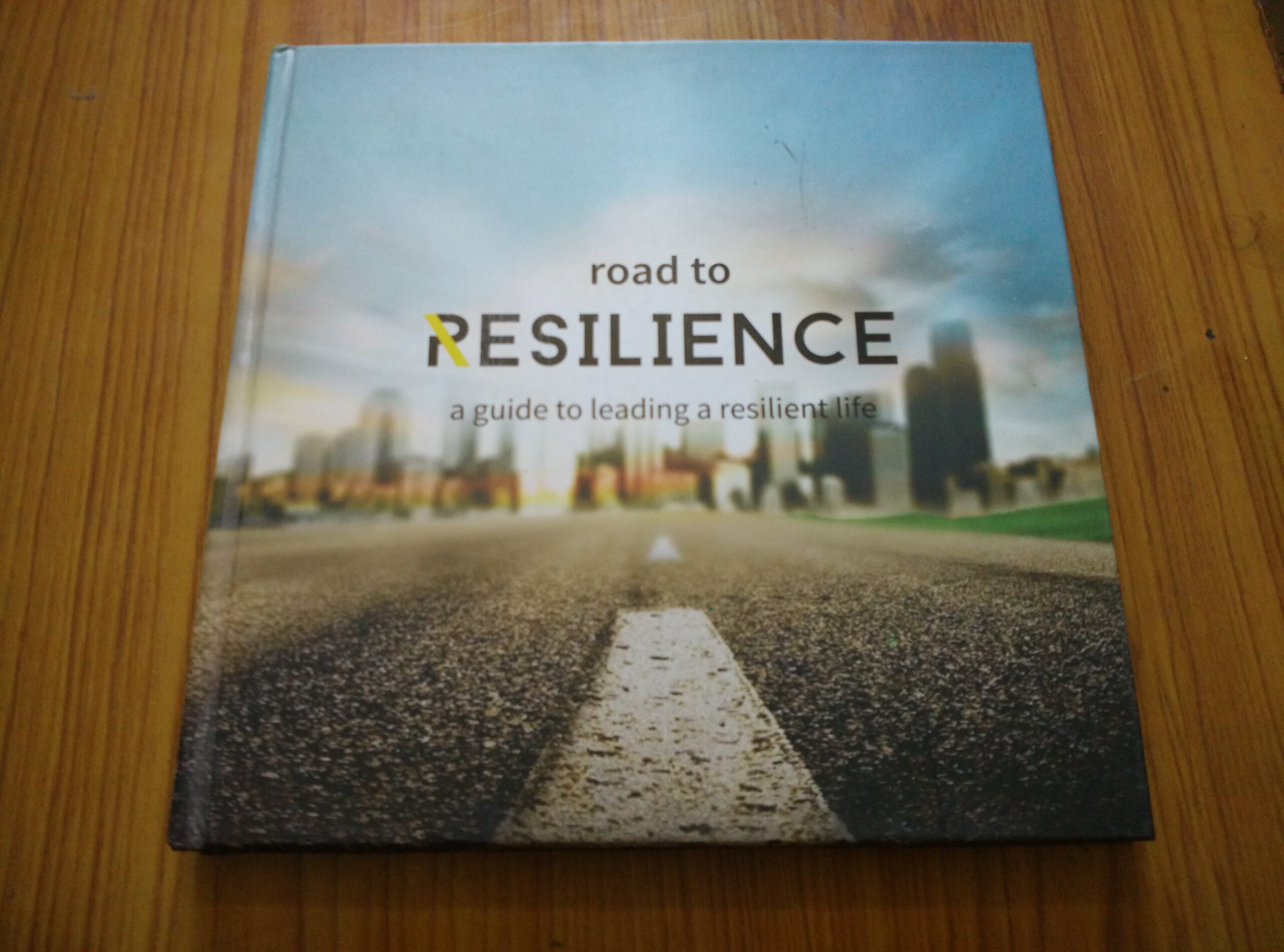 “Road To Resilience”: A Guide To Creating Resilient Cities - Literary Yard